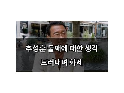 추성훈 둘째에 대한 생각 드러내며 화제