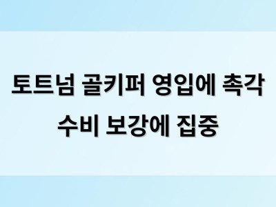 토트넘 골키퍼 영입에 촉각 수비 보강에 집중