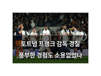 토트넘 프랭크 감독 경질 풍부한 경험도 소용없었나