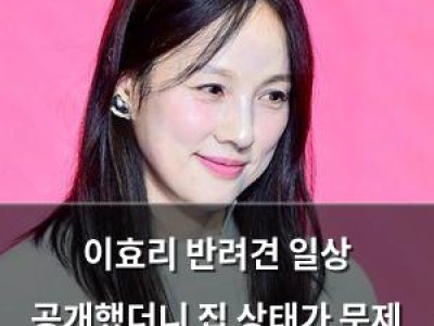 이효리 반려견 일상 공개했더니 집 상태가 문제 되다