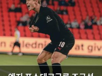 엔지 포스테코글루 조규성 영입 실패 털어놓아
