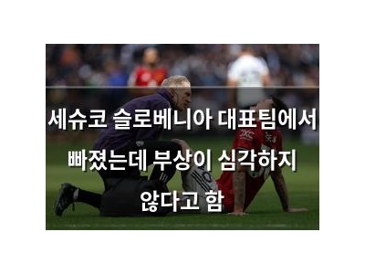 세슈코 슬로베니아 대표팀에서 빠졌는데 부상이 심각하지 않다고 함