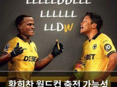 황희찬 월드컵 출전 가능성 암운