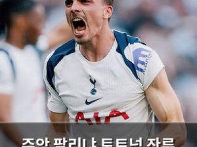 주앙 팔리냐 토트넘 잔류 확정 경기 후 감격의 눈물