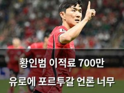 황인범 이적료 700만 유로에 포르투갈 언론 너무 적다 반응