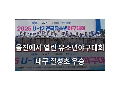 울진에서 열린 유소년야구대회 대구 칠성초 우승