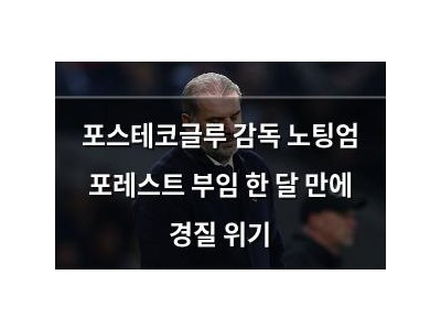 포스테코글루 감독 노팅엄 포레스트 부임 한 달 만에 경질 위기