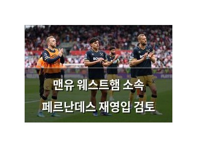 맨유 웨스트햄 소속 페르난데스 재영입 검토