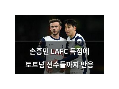 손흥민 LAFC 득점에 토트넘 선수들까지 반응