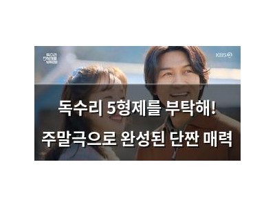 독수리 5형제를 부탁해! 주말극으로 완성된 단짠 매력