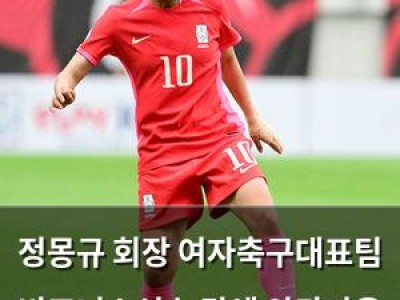 정몽규 회장 여자축구대표팀 비즈니스석 논란에 안타까움 표현