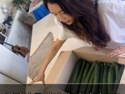 채정안 동네에서 떡 나눠주고 오이 받은 유쾌한 일상